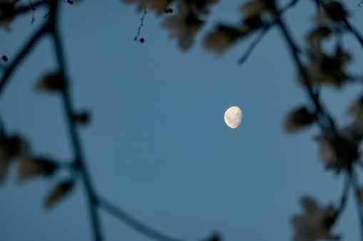 Autumn, the moon in the dark blue night sky