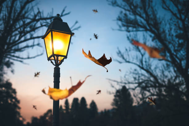 Autumn Time Last autumn leaves falling from the trees at night. Illuminated street lamp in the park. street light stock pictures, royalty-free photos & images