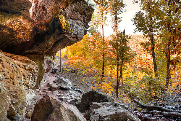 Autumn Trail stock photo