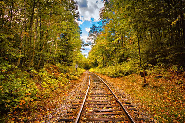 Autumn Train Tracks stock photo