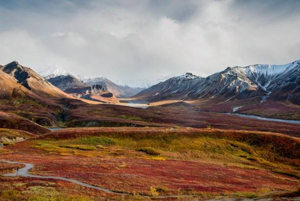 Autumn tundra in Alaska Range stock photo