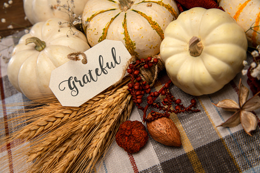 This is a close up photo of a group of small white pumpkins on a plaid table cloth background. There is space for copy.This photo would work well for Thanksgiving and a holiday season in the fall.