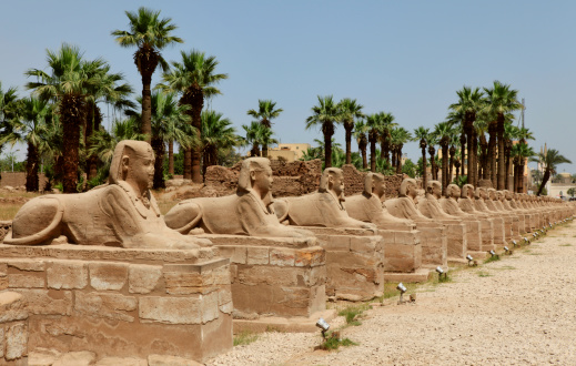 Avenue of Sphinx's at Luxor Temple