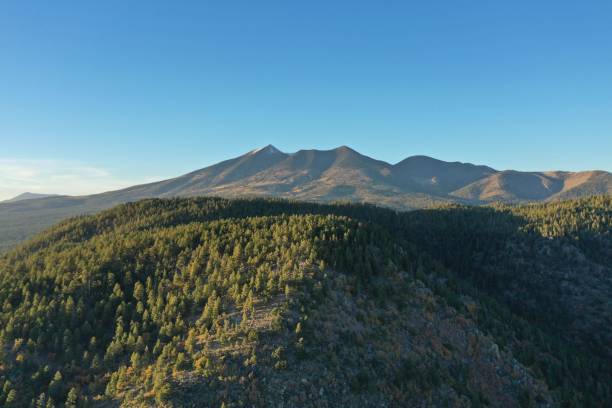 Awesome aerial drone view of Buffalo park, Flagstaff, Arizona, USA Awesome aerial drone view of Buffalo Park, Flagstaff, Arizona, USA flagstaff arizona stock pictures, royalty-free photos & images