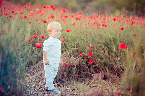 Baby boy in poppy field stock photo