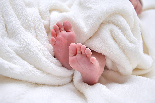 Baby feet stock photo