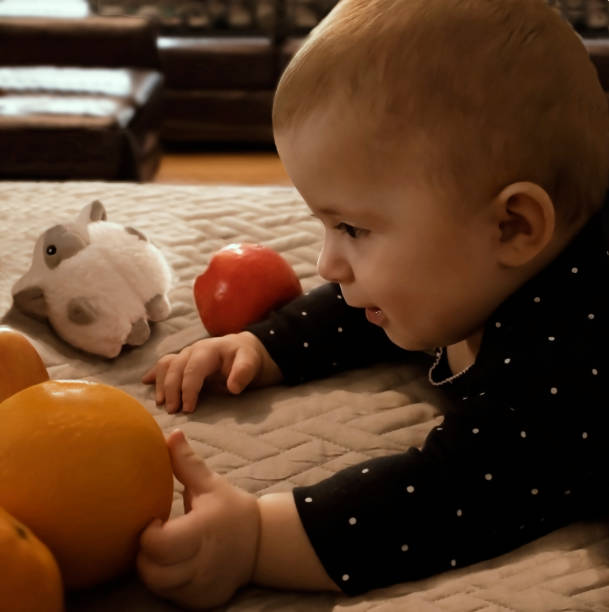Baby Girl and her Toy Lamb, Oranges and Apples stock photo