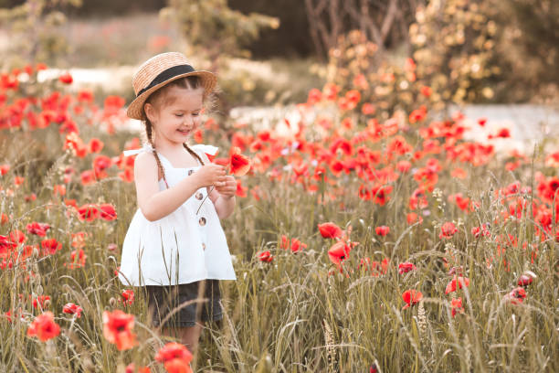 Baby girl in poppy field outdoors stock photo