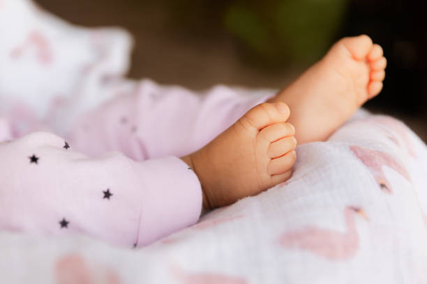 Baby girl legs, cute infant barefoot in a selective focus, babyhood concept stock photo