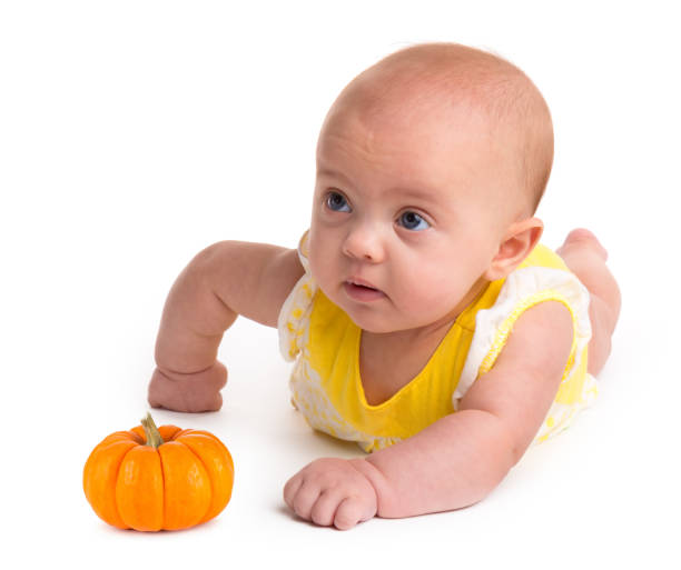 Baby girl with a small pumpkin isolated on a white background stock photo