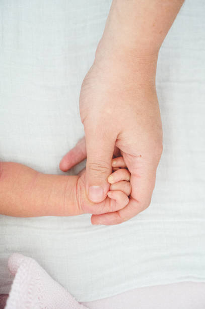 Baby holding hands with adult stock photo