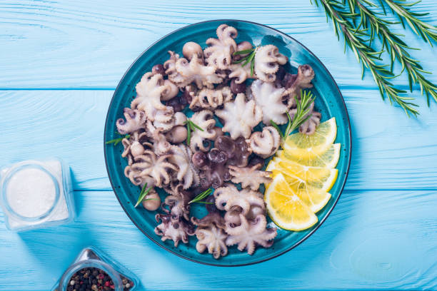 Baby octopus  . Seafood background stock photo