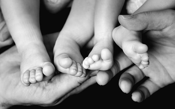 Baby Twins Feet in parents hands stock photo