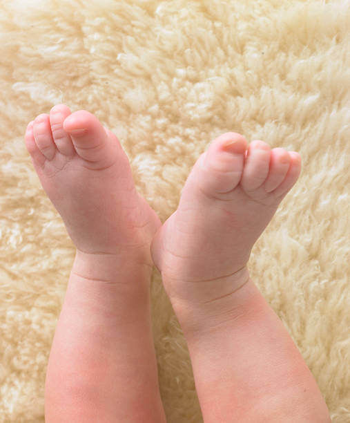 Baby's feet stock photo