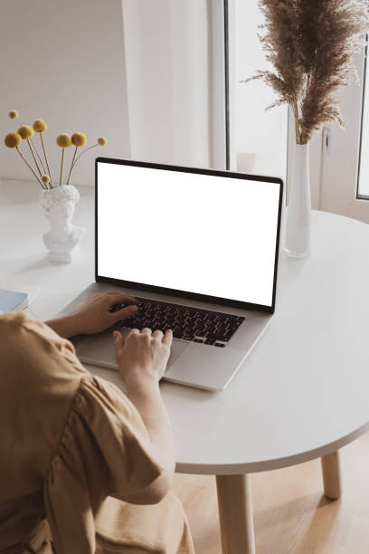 Back view and close up of woman hands using laptop with blank white screen in modern home interior. stock photo