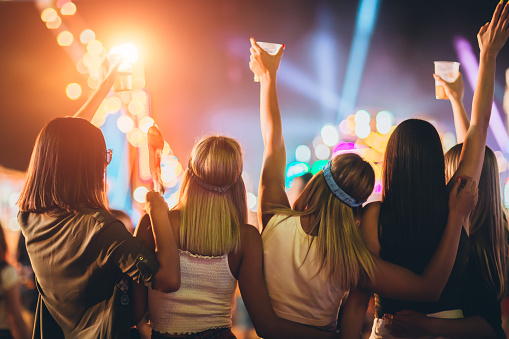 Back View Of Group Of Girls Having Fun At The Music Festival Stock Photo -  Download Image Now - iStock