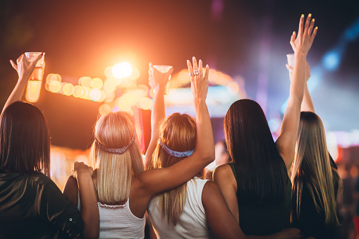 Back View Of Group Of Girls Having Fun At The Music Festival Stock Photo - Download Image Now - iStock