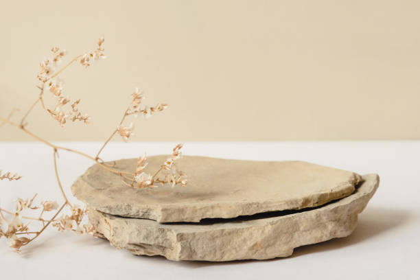 Background for cosmetic products of natural beige color. Background for cosmetic products of natural beige color. Stone podium and dry flower on a white background. Front view. alternative medicine photos stock pictures, royalty-free photos & images