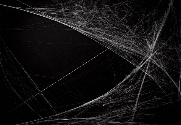 background full of cobwebs halloween background with faux cobwebs. spider stock pictures, royalty-free photos & images