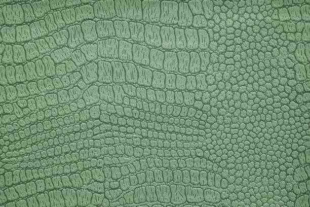 Background image - artificial textured crocodile skin green Background image - artificial textured crocodile skin green. reptile photos stock pictures, royalty-free photos & images