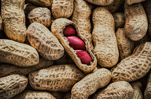 Background of a large group of Peanuts