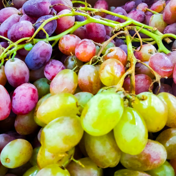 Background of ripe colorful grapes in the market. Ripe fruits on the counter. stock photo