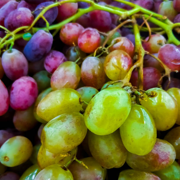 Background of ripe colorful grapes in the market. Ripe fruits on the counter. Macro photo. stock photo