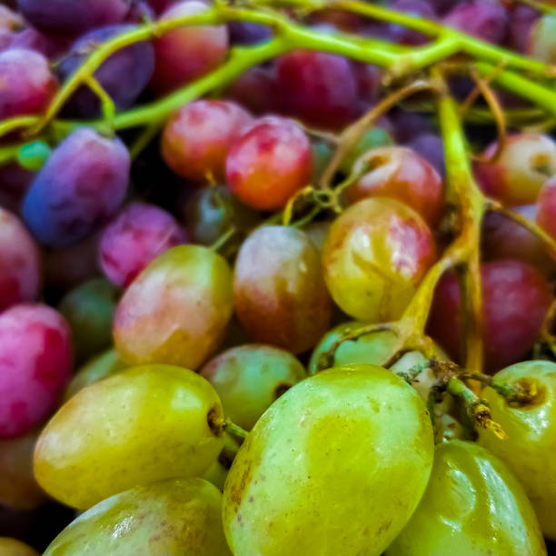 Background of ripe colorful grapes in the market. Ripe fruits on the counter. Macro photo. stock photo