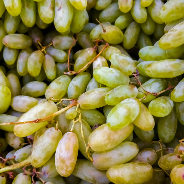 Background of ripe green grapes in the market. Ripe fruits on the counter. stock photo