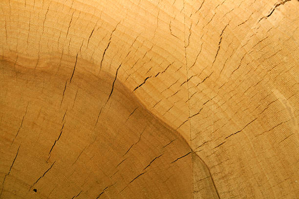 木製の背景 - wood texture ストックフォトと画像