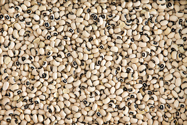 Background texture of black-eyed beans stock photo