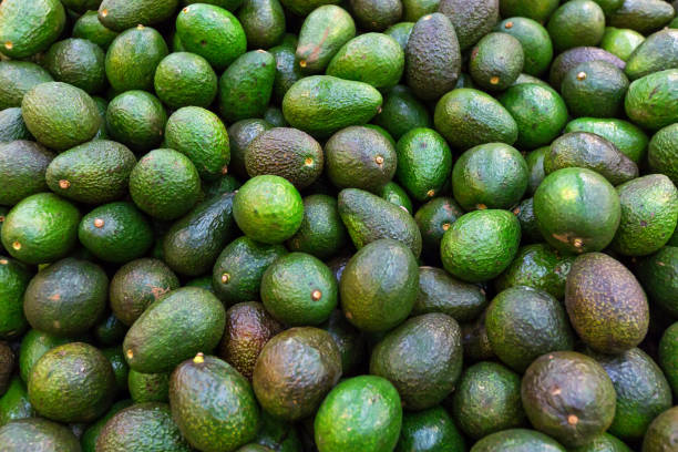 Background with fresh avocado stock photo