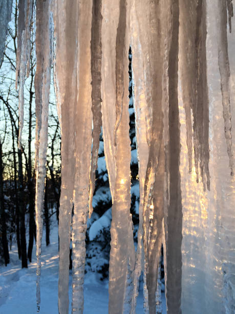 Backlit Icicles at Sunset stock photo