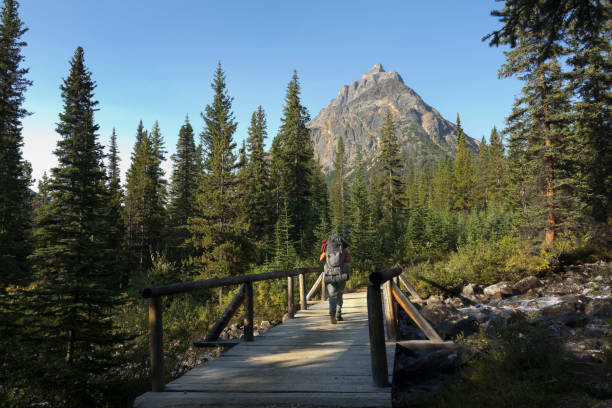 With my loaded backpack, I cross the Circus Creek bridge on the Portal Creek Trail with Mount Peveril rising in the distance.