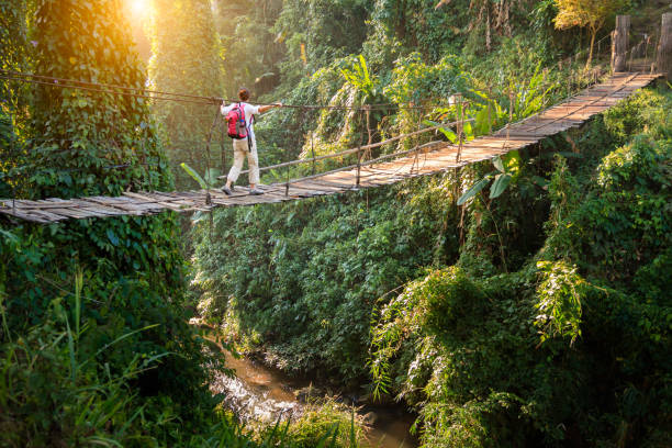 Backpacker on suspension bridge in rainforest Backpacker on suspension bridge in rainforest eco tourism stock pictures, royalty-free photos & images