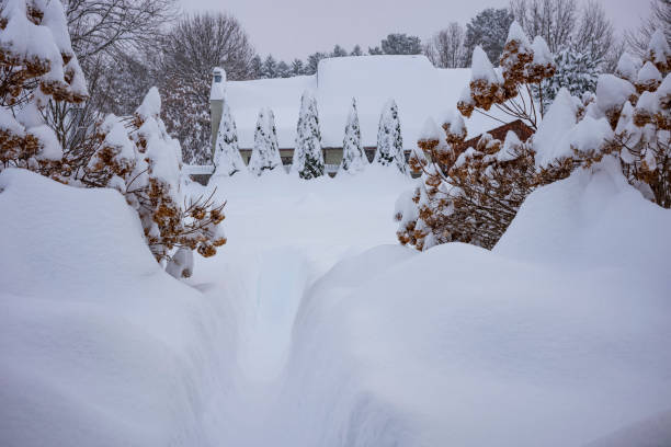 A backyard buried in snow after a winter blizzard dropped over 40-inches overnight in a sleepy upstate New York town. stock photo
