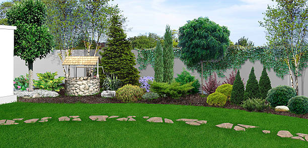 Backyard horticultural background, 3d render stock photo