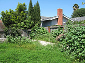 istock Backyard in need of gardening 92179462
