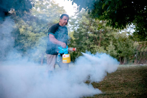 Backyard mosquito spraying Mosquito Fogging and Spraying outdoors, ULV fogging mosquitos in yard stock pictures, royalty-free photos & images