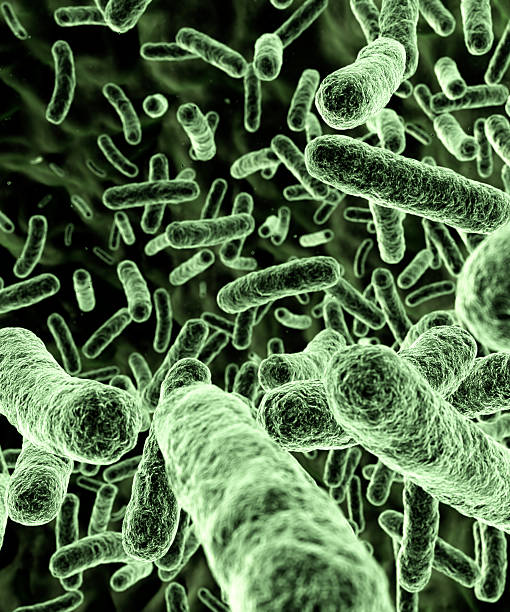 Bacteria [green] Royalty free 3d rendering. Microscopic view of green bacteria (germs). electron microscope stock pictures, royalty-free photos & images