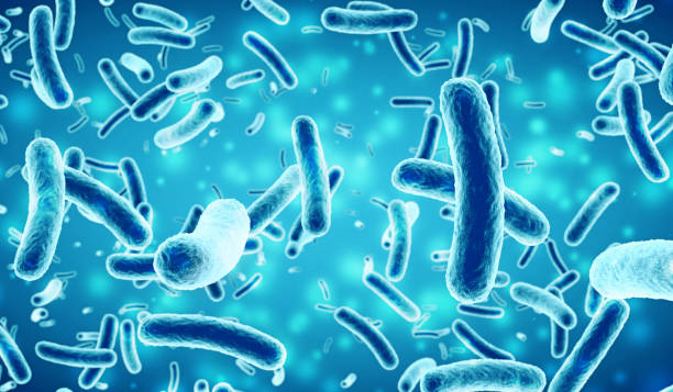 bakterien in einem blauen hintergrund - bakterie stock-fotos und bilder