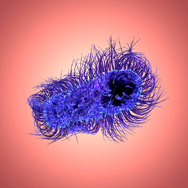 Bacteria bacteria cell Anthrax stock pictures, royalty-free photos & images