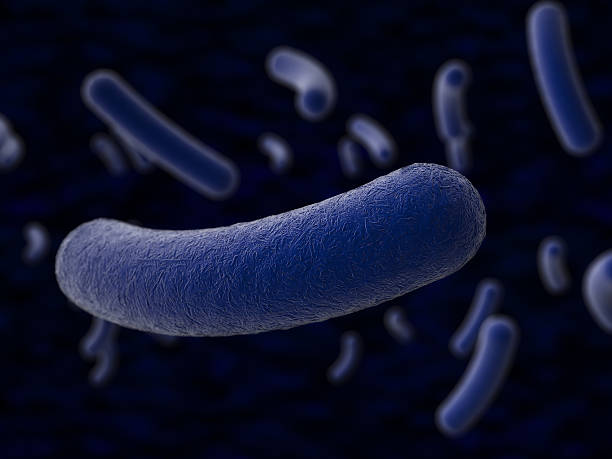 Bacteria Bacteria, 3d render Anthrax stock pictures, royalty-free photos & images