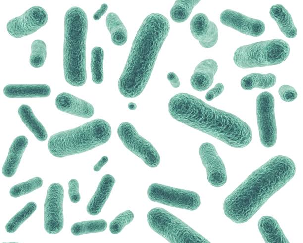 bacteriële cellen geïsoleerd op een witte achtergrond 3d-rendering. - bacterie stockfoto's en -beelden