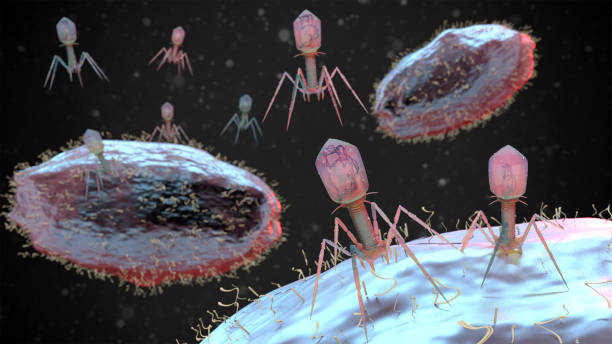 Bacteriophages stock photo