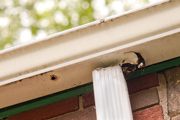 Bad, Old Gutter on House stock photo