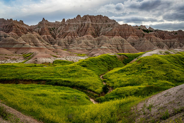 Badlands National Park Badlands National Park is located in southwestern South Dakota, featuring nearly 400 square miles of sharply eroded buttes and pinnacles, and the largest undisturbed mixed grass prairie in the United States. south dakota stock pictures, royalty-free photos & images