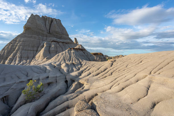 Badlands of Dinosaur Provincial Park at Sunset in Alberta, Canada Badlands of Dinosaur Provincial Park at sunset in Alberta, Canada. fossil site stock pictures, royalty-free photos & images