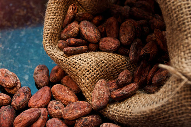 Bag of cocoa beans stock photo