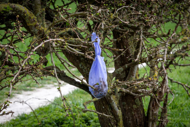 A Bag of Dog Excrement Hanging on a Tree in the South Downs stock photo